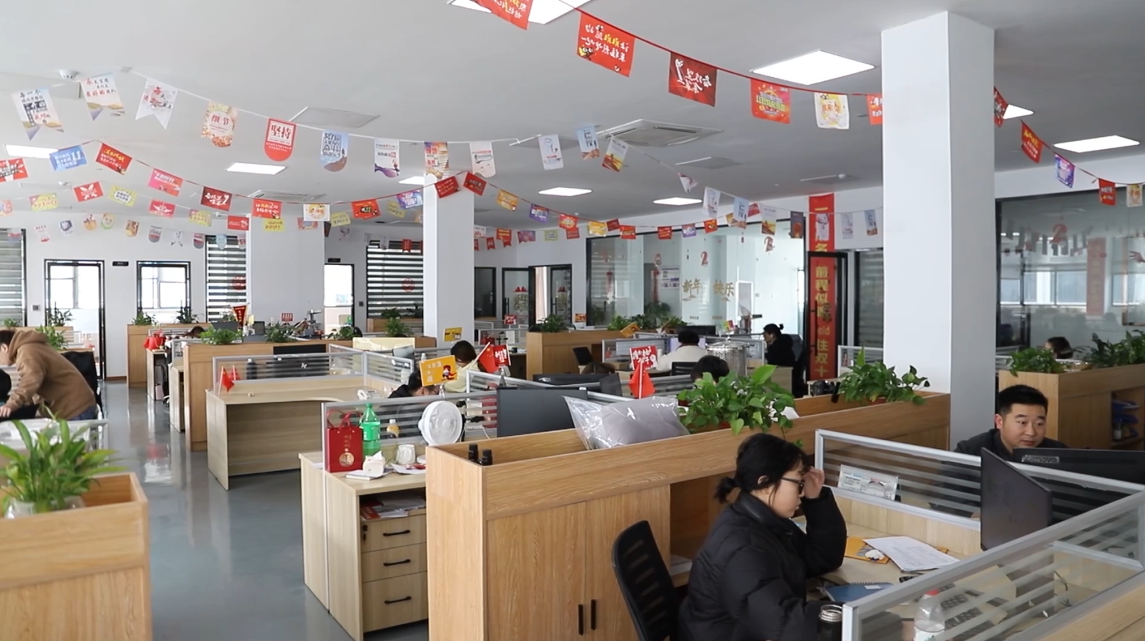 内部会员专用资料