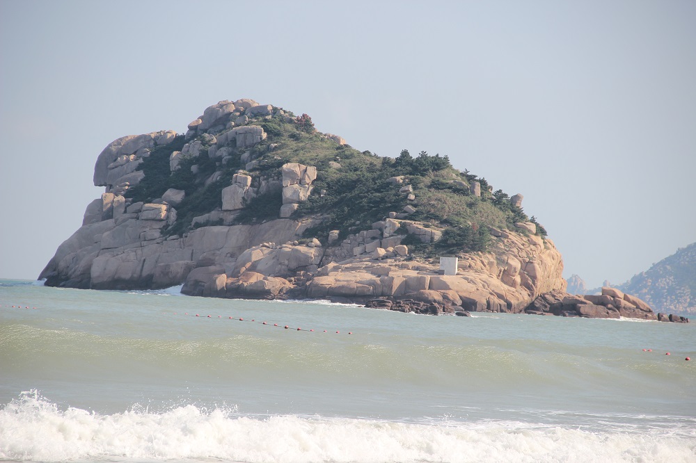 内部会员专用资料