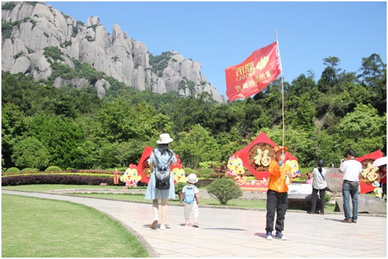 内部会员专用资料