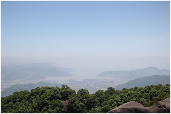 内部会员专用资料