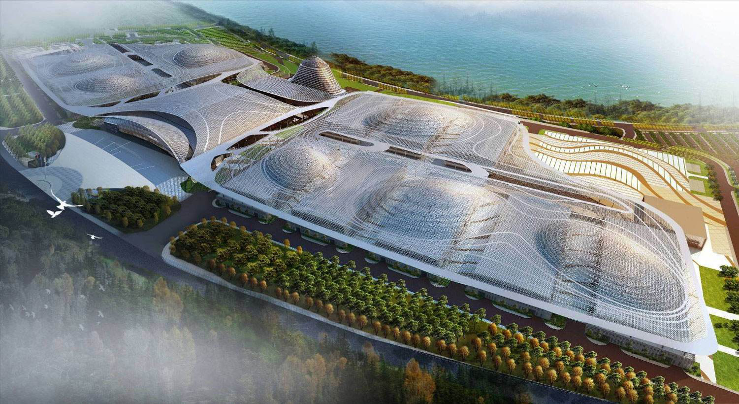 内部会员专用资料