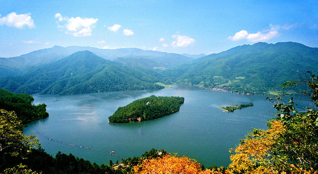 内部会员专用资料