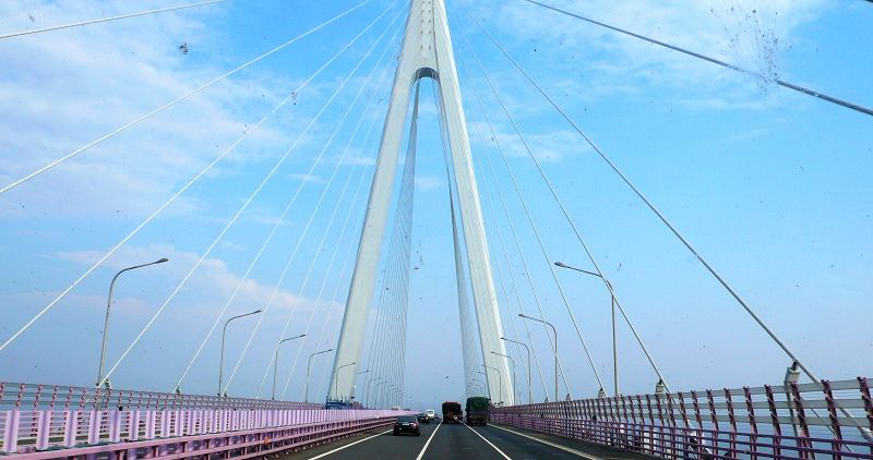 内部会员专用资料