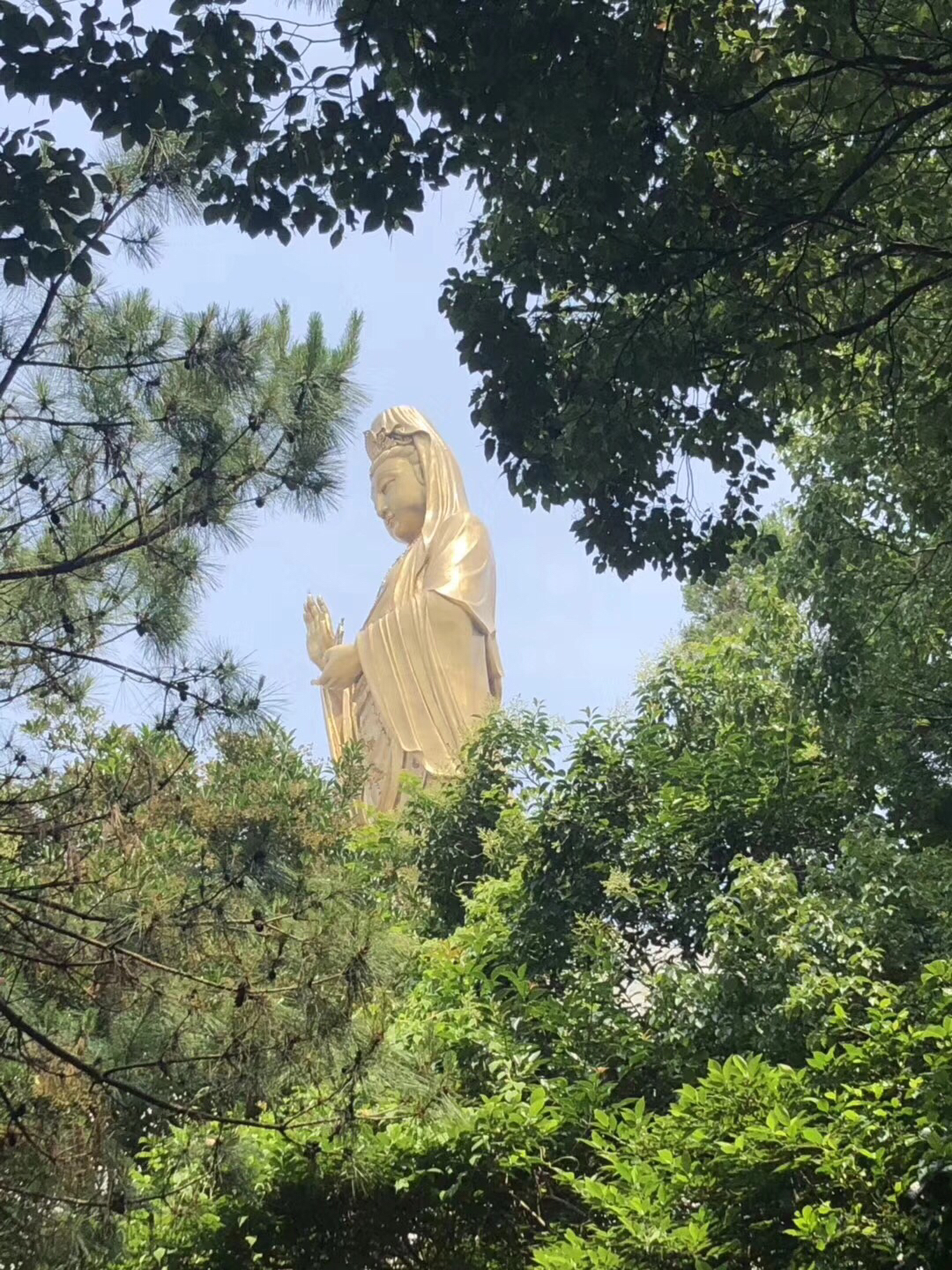 内部会员专用资料