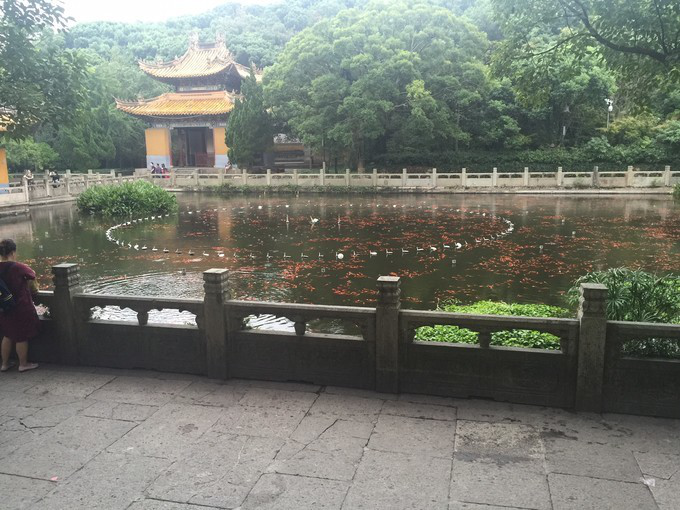 内部会员专用资料