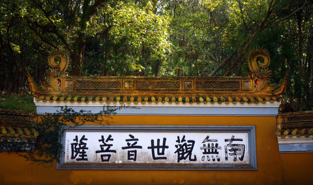 内部会员专用资料